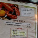 덴포라 이미지