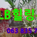 한일사 이미지
