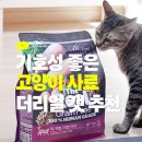 호두 펫푸드 | 기호성 좋은 고양이 사료 추천 하림펫푸드 더리얼 캣 어때요?