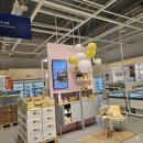 (주)강동푸드 | [주말기록] 이케아 강동점 구경하기 : 4. 스웨디시푸드마켓 <끝>