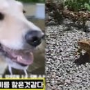 산책동물병원 이미지
