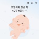 용다방 - 여주시 여양로 1454 | 주간 용다방 일상 : 애 낳고 돌아오겠숨다