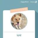 하피 이미지