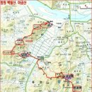 백월정