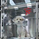 페이지동물병원 이미지