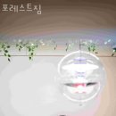 포레스트 짐 이미지