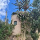 바다호텔 이미지