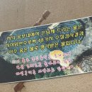 박터진 흥부네 이미지