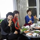 솔다리 이미지
