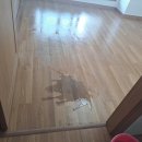 광평로34길 이미지