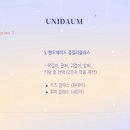 유니다움