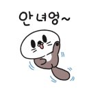 라이크캣 이미지