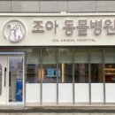 조아동물병원 네이버블로그