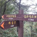 용봉초교 이미지