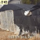 문하우스 이미지