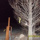 송전목장 이미지