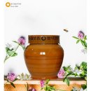 혜주네