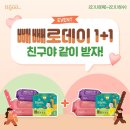 데이데이데이 이미지