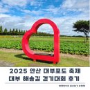 축제코스 | 2025 대부 해솔길 걷기 축제 후기 코스