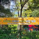 정자일로 이미지