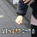 후쿠오카 쇼핑 여행 ep.3 소짱은 진짜 유명한 헬로키티임