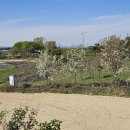 상모농장 이미지