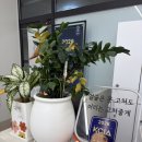 보정로 | [용인 미용실] 오주아헤어 단발 (김나영단발 컷 후기) 1분만에 머리 스타일링가능!