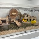 패러그린샵 동래점 이미지