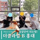 홍대_첫 클라이밍 방문후기_더클라임 B 홍대