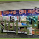 신미 이미지