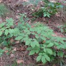 우리마당 이미지