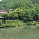 만인산자연휴양림 이미지