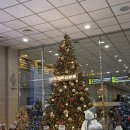 (주)씨스페이시스 수원빈센트점 | [아주대병원] (30-31주차) 취미부자가 된 만삭 임산부의 일상｜아기 빨래, 대학병원 검진