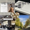 (주)산간고 | 10월 넷째 주~11월 첫째 주 붕어의 일상(그레이룸, 남한산성, 아이폰17PRO,망고매니플리즈)