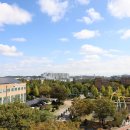 용성가스 이미지