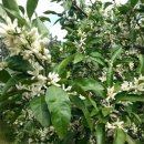 이혁농장 이미지