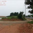 완충녹지10호 이미지