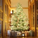 금성공사합자회사 | 크리스마스트리 대여 플라워앤아트 선택한 이유