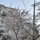 GS25양청중앙점 | [4월 셋/넷째주] 대한 외국인 예비신부의 한국 휴가 일상 | 한국 너무 예뻐 무새가 되…
