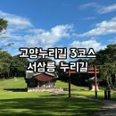 고양누리길 3코스 서삼릉누리길 | 고양누리길 3코스 서삼릉누리길 초보 등산코스 둘레길 다녀왔어요.