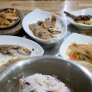 서산농장 티스토리