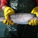 내고향휴게소 이미지