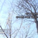 광명기연