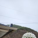 능가사수퍼