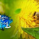 천기누설