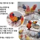 작은동물원수족관 이미지