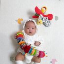 디자인홈그라운드 이미지