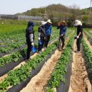 여자만마을 이미지