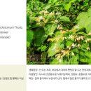 능전 이미지