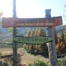 윤*필